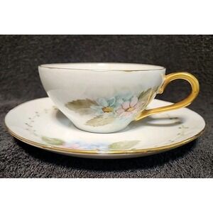 Hand Painted Unique China Cup & Saucer Flower Design W/gold Trim